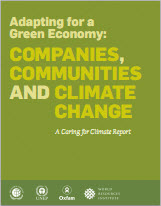  Adapting for a Green Economy: Companies, Communities and Climate Change